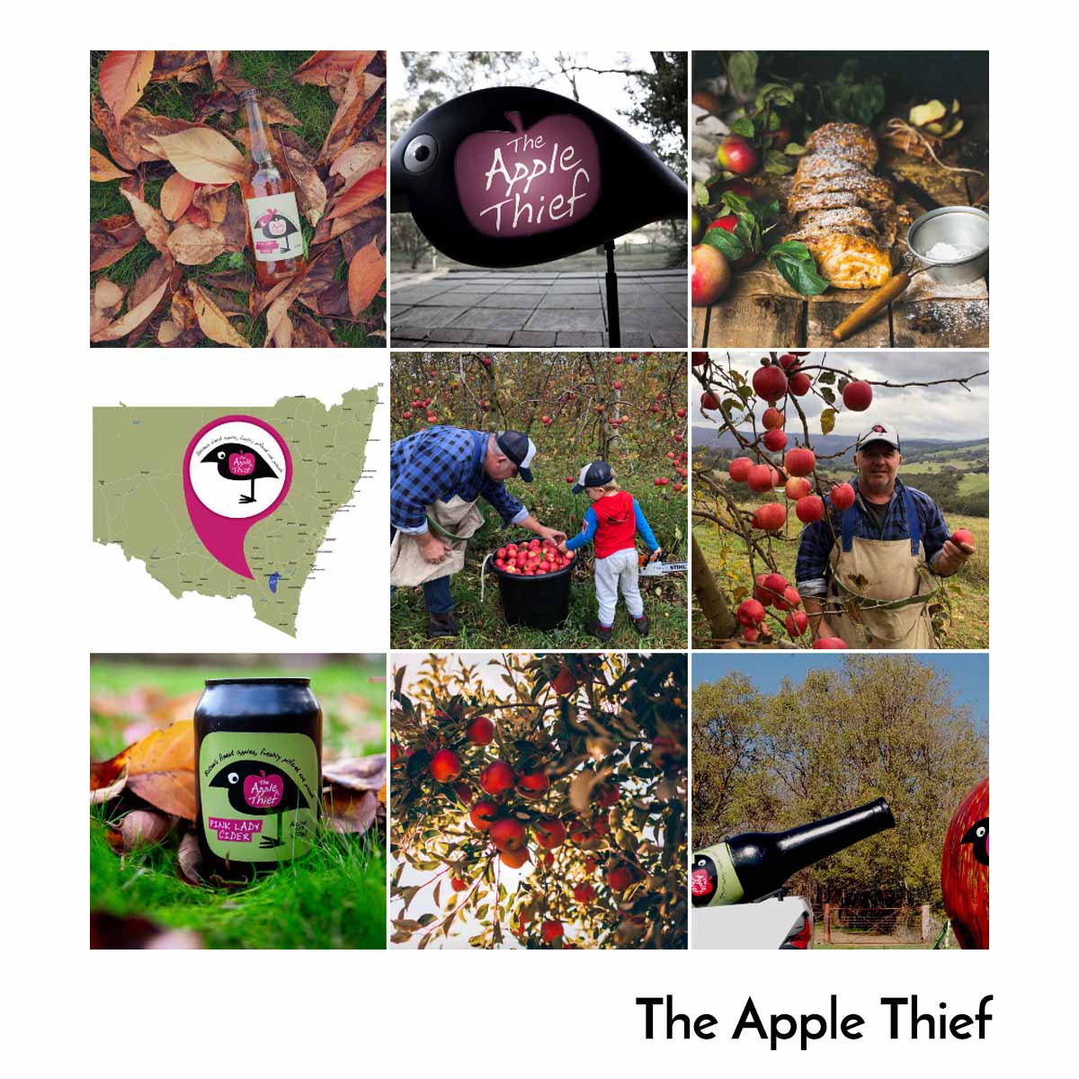 Be Creative Media - Social Media Agency - The Apple Thief