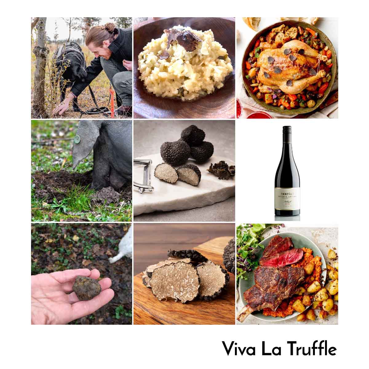Be Creative Media - Social Media Agency - Viva La Truffle